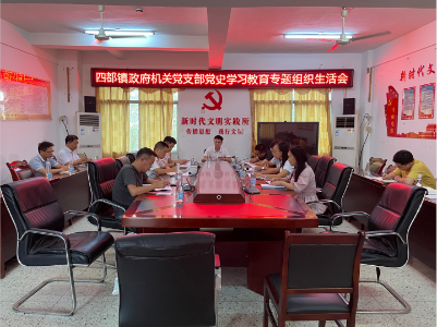 四都镇政府机关党支部召开党史学习教育专题组织生活会