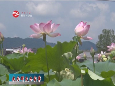 【我为群众办实事】上奉镇：管住脏乱差  提升镇村颜值