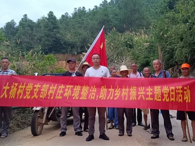大椿乡大杨村：深化党建引领 凝聚环境整治合力 