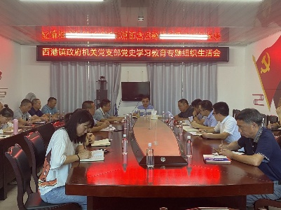 西港镇政府机关党支部召开党史学习教育专题组织生活会