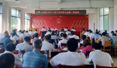 大椿乡第十八届人民代表大会第一次会议召开