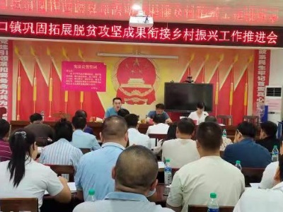 杭口镇:再动员 再部署 再推进  巩固拓展脱贫攻坚成果衔接乡村振兴