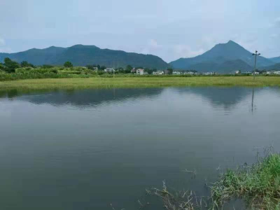 渣津镇：集体经济蓄好力 乡村振兴迈大步