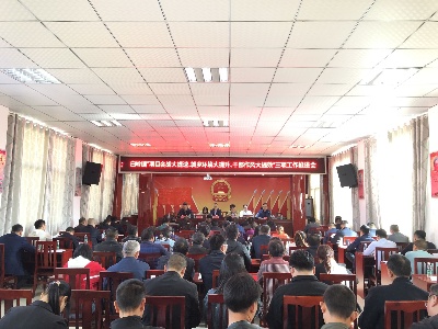 【贯彻党代会精神】白岭镇扎实推进“项目会战大提速、城乡环境大提升、干部作风大提效”三项工作