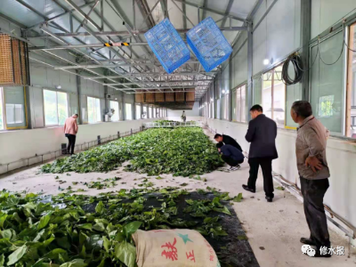 石坳乡：巩固拓展脱贫攻坚成果 有效衔接乡村振兴