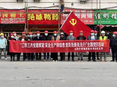 【”三联三共“党建赋能】太阳升镇：强党建引领 为项目赋能