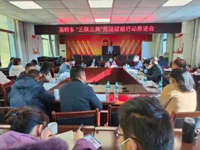 【“三联三共”党建赋能】庙岭乡全面开展“三联三共党建赋能环境整治党员先行”主题党日活动