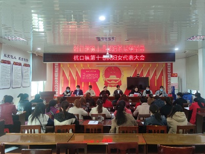 奋进新征程，巾帼勇担当——杭口镇第十七次妇女代表大会胜利召开