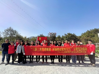 【“三联三共”党建赋能】路口乡开展“三联三共党建赋能 环境整治党员先行”主题党日活动