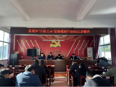 【“三联三共”党建赋能】东港乡：“三联三共”党建赋能行动，一起“联”心共促！