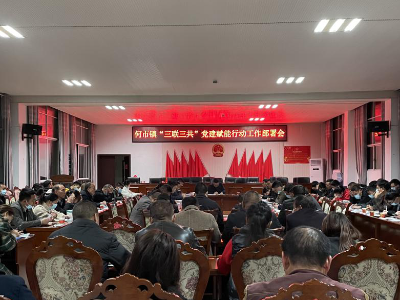 【“三联三共”党建赋能】何市镇:党建赋能聚合力  项目建设“加速跑”
