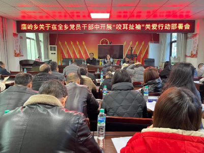 庙岭乡召开“咬耳扯袖”关爱行动工作部署会议