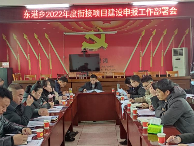 东港乡成果巩固同乡村振兴有效衔接项目建设申报工作有序推进