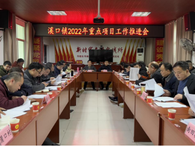溪口镇：开年即冲刺  “虎”力全开推进项目大提速