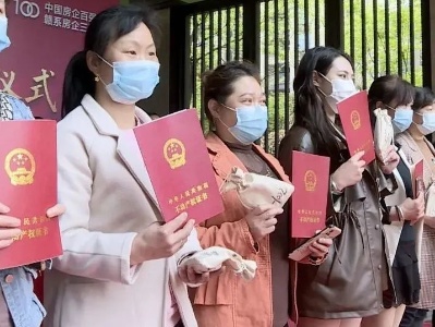 优化营商环境 决胜项目会战 ▏“交房即交证”，我县持续提升不动产登记“加速度”