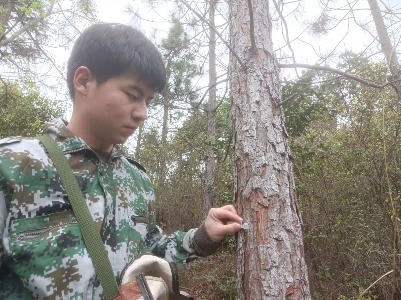 县林业局释放6万头天敌昆虫花