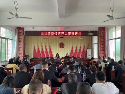 【抗疫进行时】山口镇：疫情防控党员先行 凝聚抗“疫”山口力量