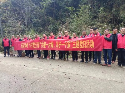 东港乡岭下村党支部开展“共植一片绿 共护一个家”主题党日活动