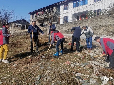 主题党日添新绿 干部职工植树忙