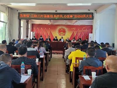 西港镇召开“‘三联三共’强基础、转作风、办实事”活动动员大会