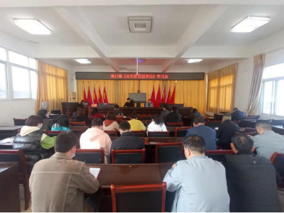 港口镇：做深做细《反有组织犯罪法》学习宣传和贯彻落实工作
