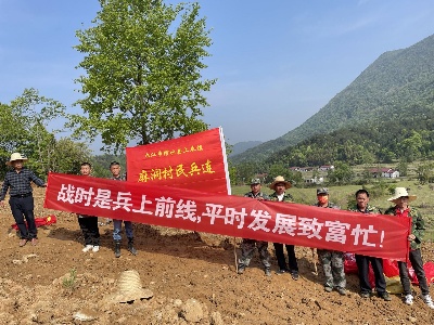 上奉镇民兵助力致富产业金银花种植