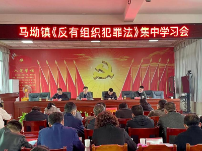 马坳镇：开展反有组织犯罪法宣传行动