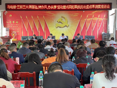 马坳镇召开“‘三联三共’强基础、转作风、办实事”活动 暨巩固拓展脱贫攻坚成果调度推进会