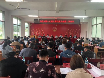 大椿乡第十八届人民代表大会第二次会议召开