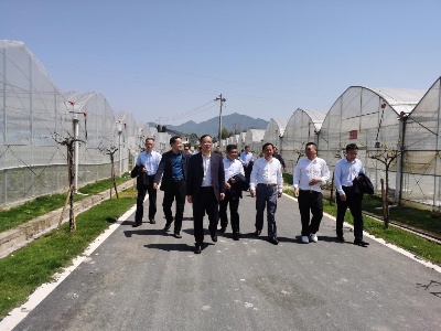 市政协领导到何市调研
