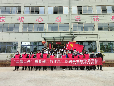 【“三联三共”   党建赋能】庙岭乡开展“‘三联三共’ 强基础、转作风、办实事”主题党日活动
