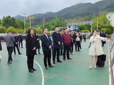 庙岭乡：深化拓展党建赋能 聚力共促乡村环境大提升