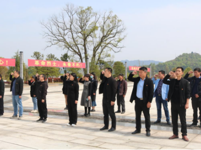 杭口镇：“祭奠革命先烈  传承革命精神” 主题党日活动