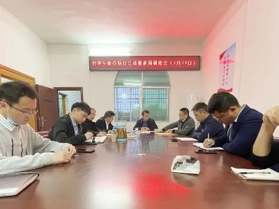 防疫生产两不误 ▏竹坪乡：坚决打好疫情期间项目会战攻坚