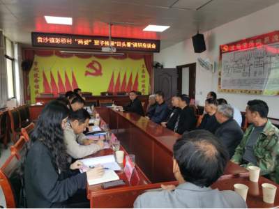 【“三聯三共”黨建賦能】朱三忠同志到黃沙鎮彭橋村開展村“兩委”班子換屆“回頭看”調研