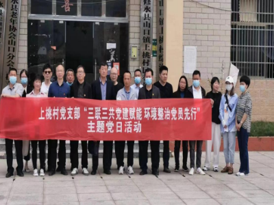 【三联三共党建赋能】山口镇：突出“三个坚持” 推动环境整治“常态化”