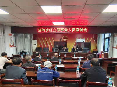 庙岭乡召开红白理事会人员座谈会