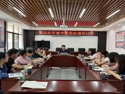 义宁镇召开城北社区城市基层治理研讨会