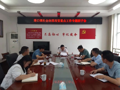 港口镇：多措并举推动社会治理攻坚  实效导向建设平安港口