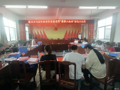 黄龙乡：“比学赶超”助力乡村振兴