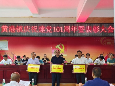 建党节丨黄港镇组织“庆七一”系列活动