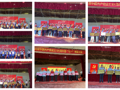 建党节丨上奉镇开展庆祝中国共产党成立101周年系列活动