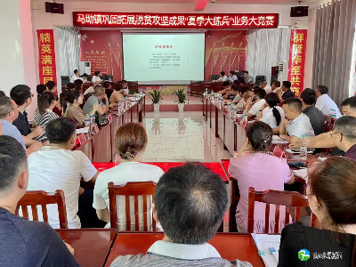 马坳镇开展巩固拓展脱贫攻坚成果“夏季大练兵”集中活动