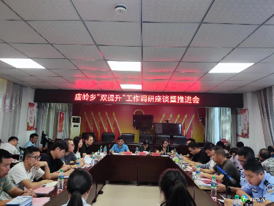 庙岭乡召开调研座谈会推进“双提升”工作