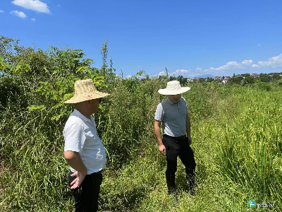 石坳乡纪委靠前监督一线  压实助力抗旱保收