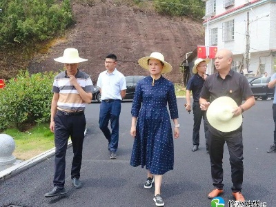 刘婕深入石坳东港余塅调研