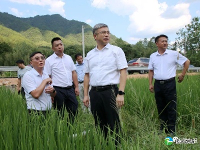 郑庆华深入黄坳庙岭督导防溺水和抗旱工作
