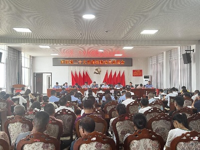 何市镇召开下半年社会治理工作部署暨双提升工作调度会