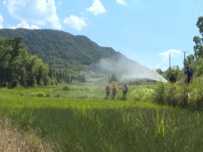 何市镇火石村：“抗旱”、“防溺水”两手抓