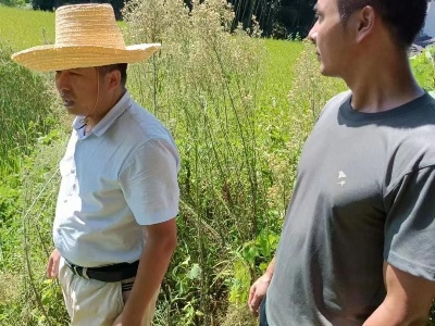 黄沙镇应急分队参加防溺水巡逻和抗旱工作